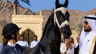 العصان المضطرب