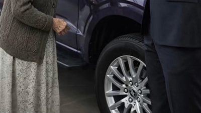 ربطو حارس الغابة
