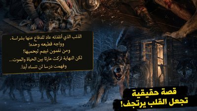 العجوز والذئاب