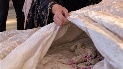 لمحة نيوز